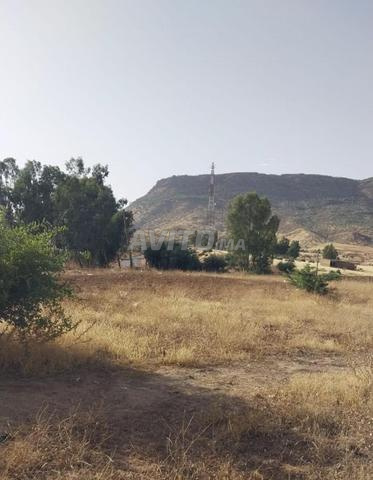 أرض للبيع بمساحة 8500 متر مربع - 2