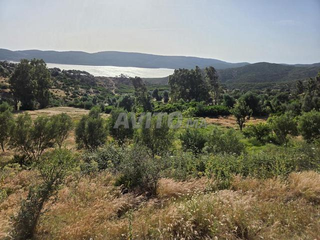 أرض للبيع في بني حكيم - دار الشاوي - طنجة