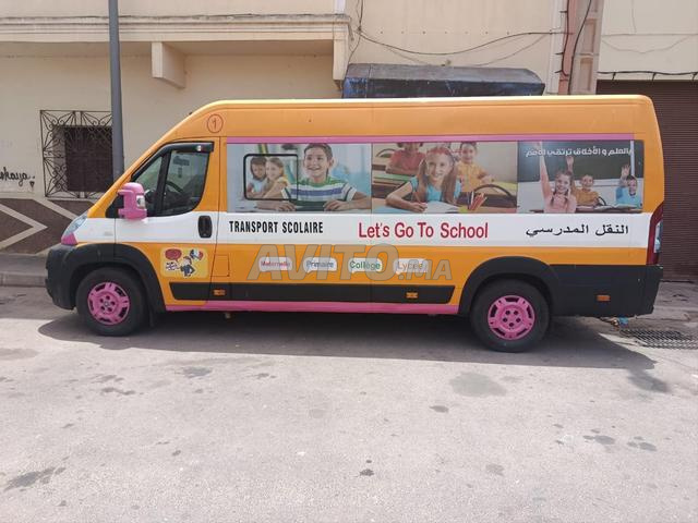 Transport scolaire Fiat Ducato 2011 - 2