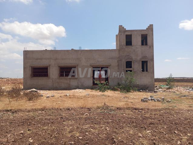 الجديدة سبت سايس - 2