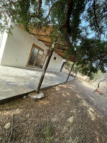 غزالة إمنتان - 2