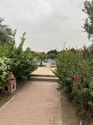 استوديو بالميراي - 2