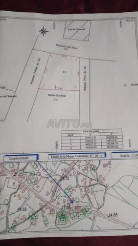 أرض للبيع في گوارت - طنجة - 2