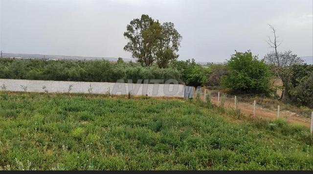 Terrain 2500 m² avec maison 33 millions - 2