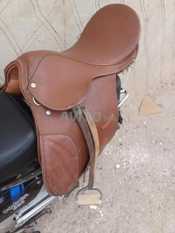 سرج الفرسية