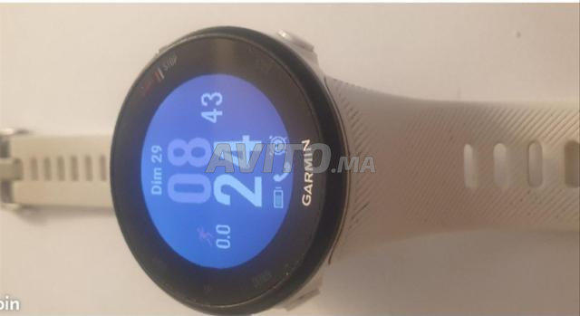 Garmin s 45