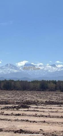 1170 m2 sur le goudron à Sidi Abdellah Ghiat