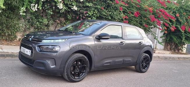 citron c4 cactus 