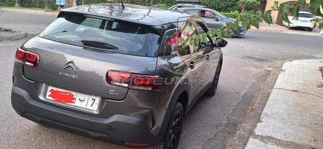 citron c4 cactus 
