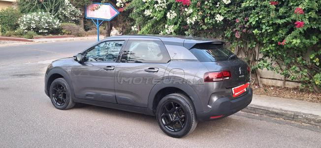 citron c4 cactus 