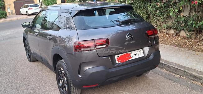 citron c4 cactus 