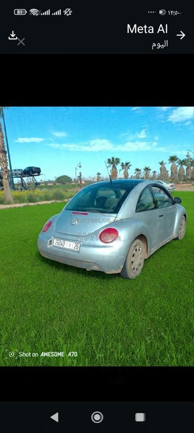 wolvagn betl coccinil 