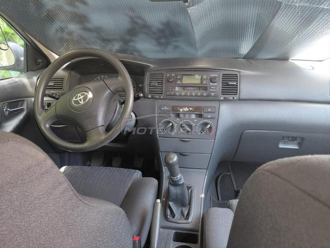 model 2004 