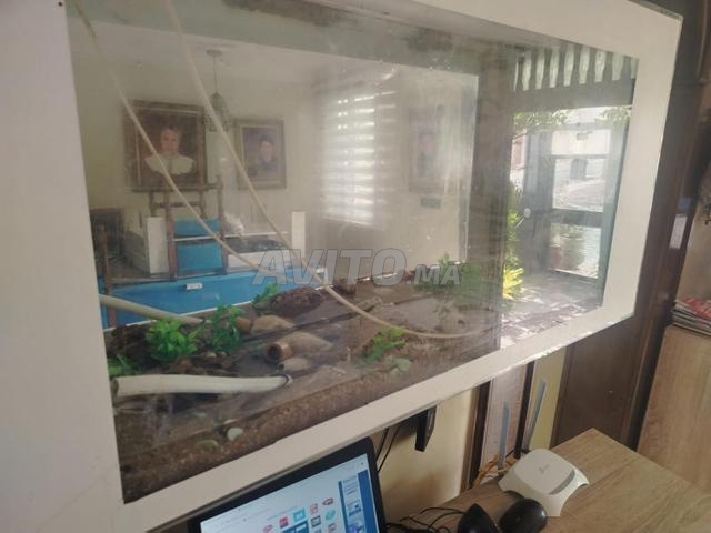 Aquarium 120 cm x 60 cm - 2