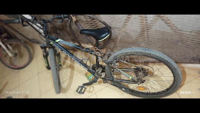 UsedRockrider - 2