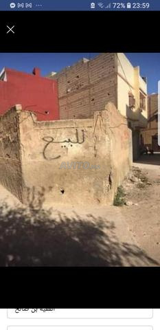 بقعة شوكة للبيع