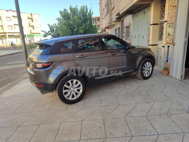 evoque
