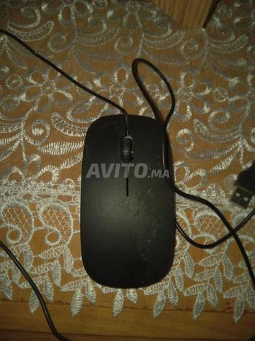Souris magnifique 😍 belle et attrayante achetez-la son prix est bas