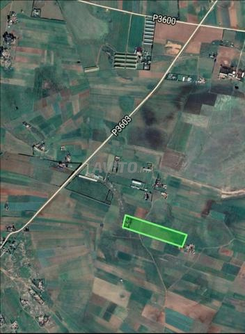 Terrain agricole à 45 mn de Casablanca - 2