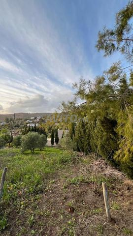 Terrain Andre فيها دار بلدية - 2