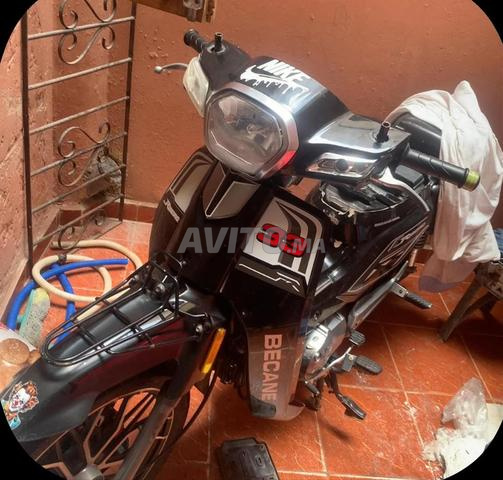 Moto 2024/2025 Najma 49cc - 2