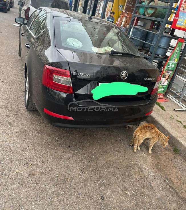‏Skoda Octavia 2016