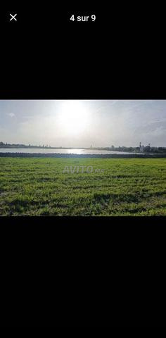 دوار طواجنة جماعة ايير - 2