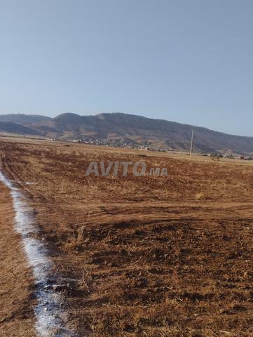 Terrain à vendre près de Marrakech Ait Ourir d'une superficie de 5 hectares - 2