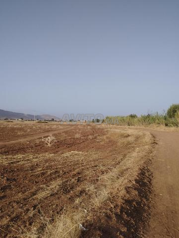 Terrain à vendre près de Marrakech Ait Ourir d'une superficie de 5 hectares