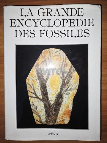 3 Ouvrages de référence sur les fossiles - 2