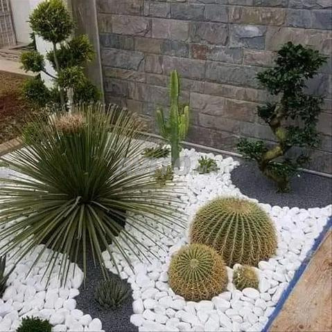 *`Jardinier professionnel - Entretien de jardins à Casablanca`* - 2