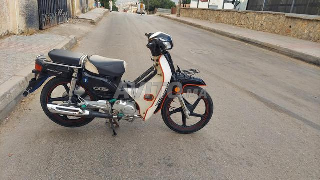 فاس عين النقبي