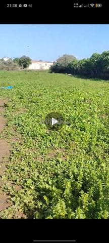 أرض للبيع قرب شاطئ سيدي رحال 200متر - 2