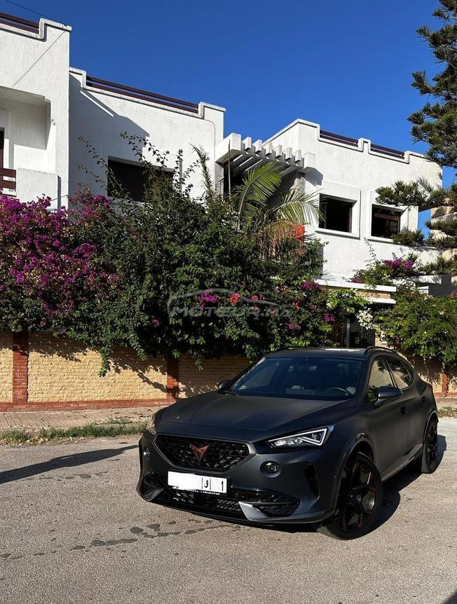 cupra formentor vz