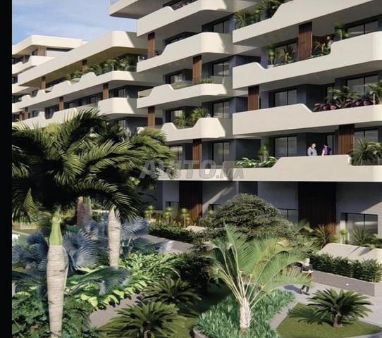 Arcadia Loft Californie - 2