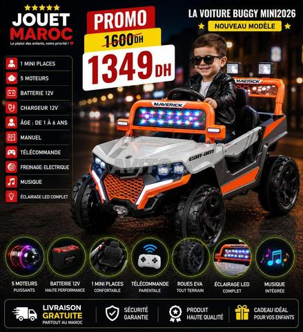 Voitures électriques à prix abordables - 2