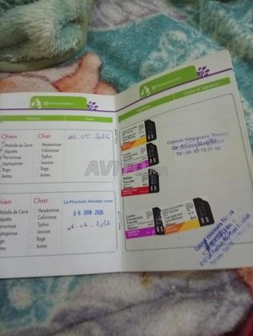 Rabat - Mabella - 2