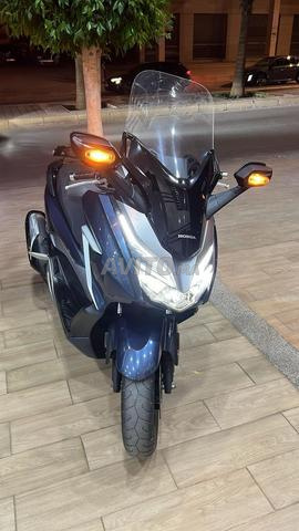 Forza 300 modèle 2019 DD 2024 - 2