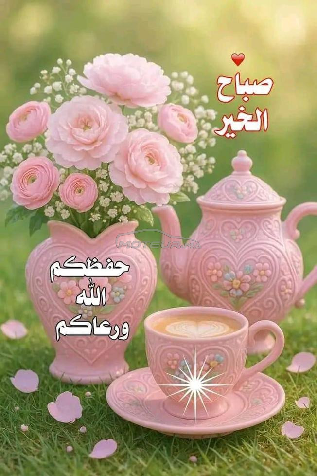 القنيطرة الوفاء  حد جامع الغفران 