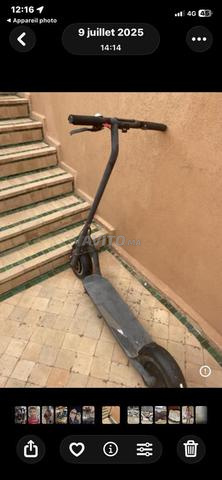 سكوتر