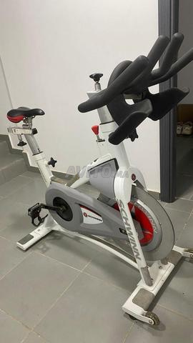 Schwinn spinning