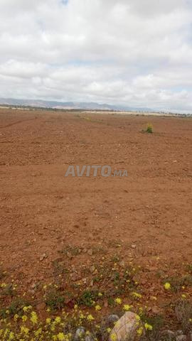 Terrain agricole avec puits 13ha proche de tous