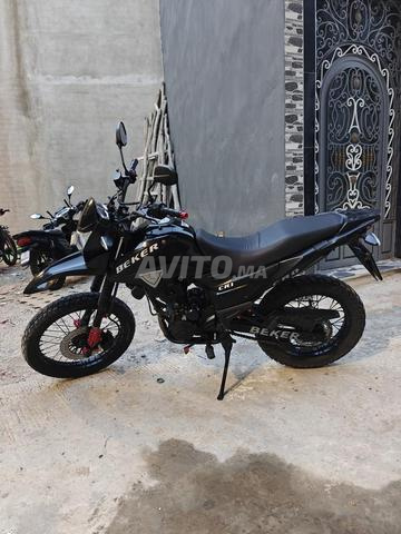 طنجة غزالة