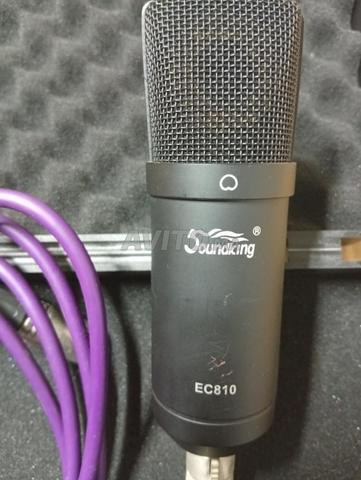 Microphone SOUNDKING EC 810 - 2