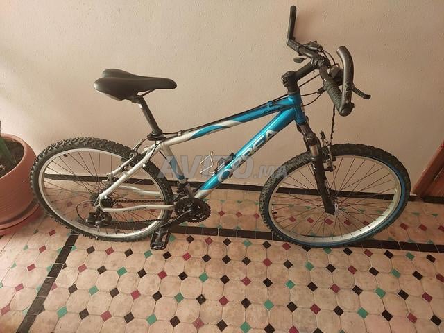 للبيع 2 دراجة جبلية (Orbea & ASBIKE)