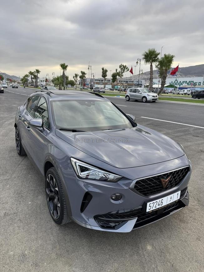 cupra formentor impoter