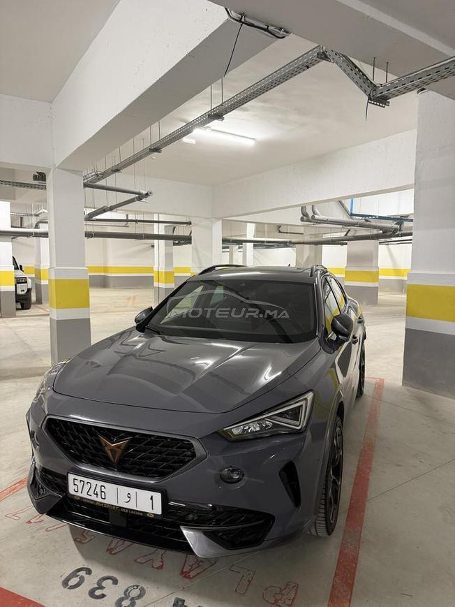 cupra formentor impoter