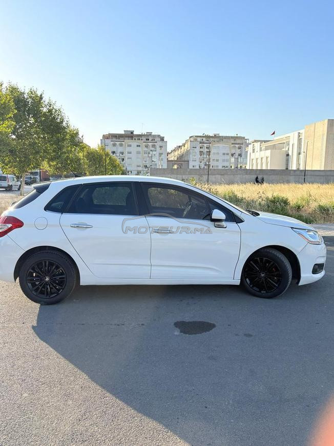 citruin C4 هواة عامرة