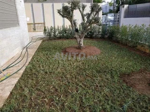 جهة مراكش آسفي - 2
