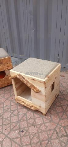 Niche pour chat